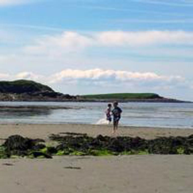 Pebble Beach Holiday Home Ballinphull Exteriér fotografie